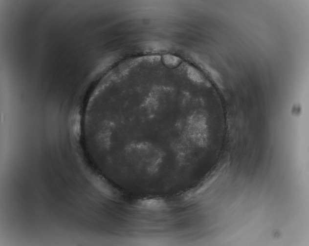 X0000102800067200809150938