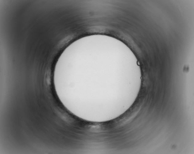 X0000102800068200809150938