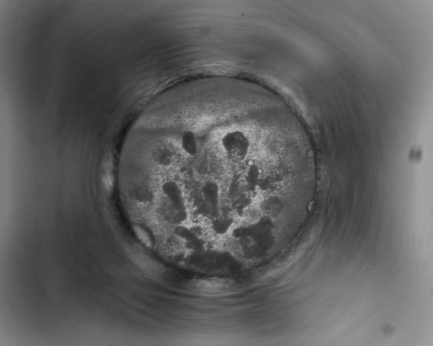 X0000102800069200809150938