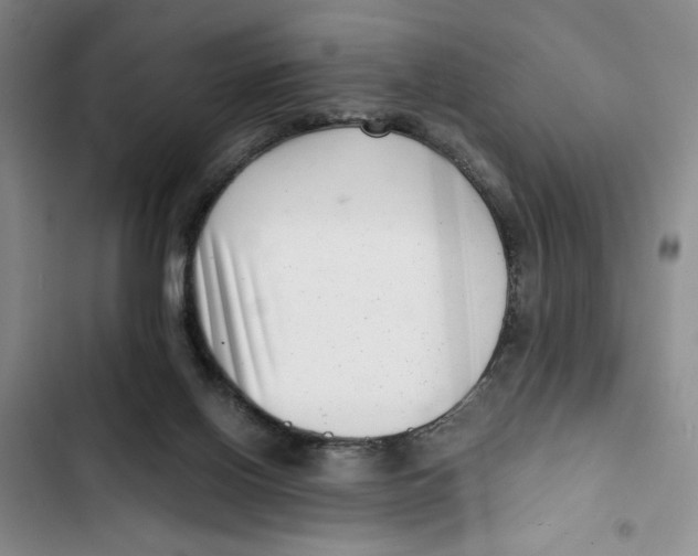 X0000102800070200809150938