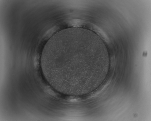 X0000102800073200809150938