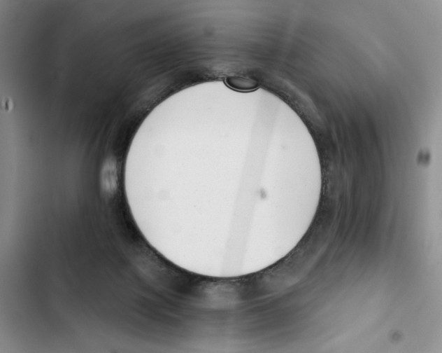 X0000102800075200809150938