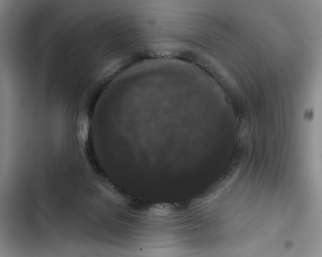 X0000102800076200809150939