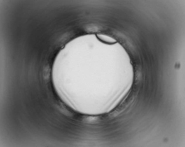 X0000102800081200809150939