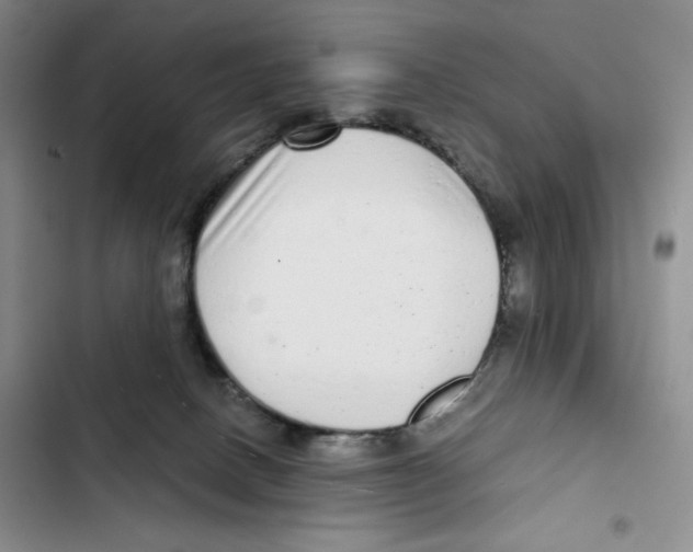 X0000102800082200809150939