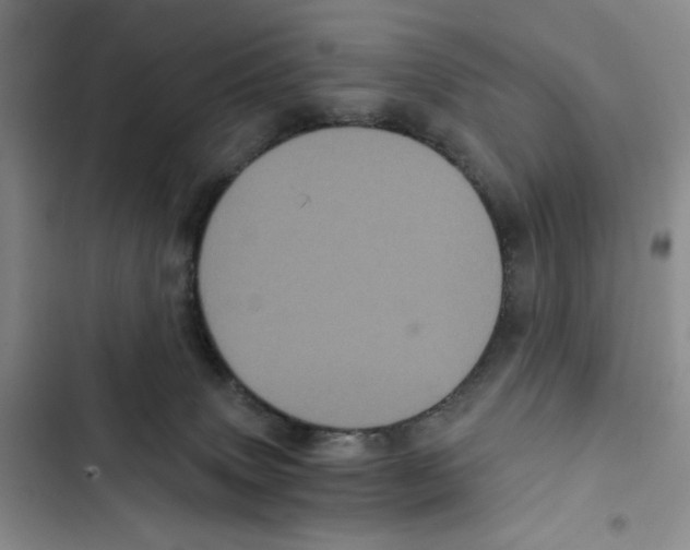 X0000102800083200809150939