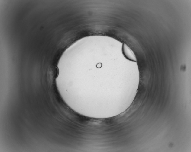 X0000102800086200809150939