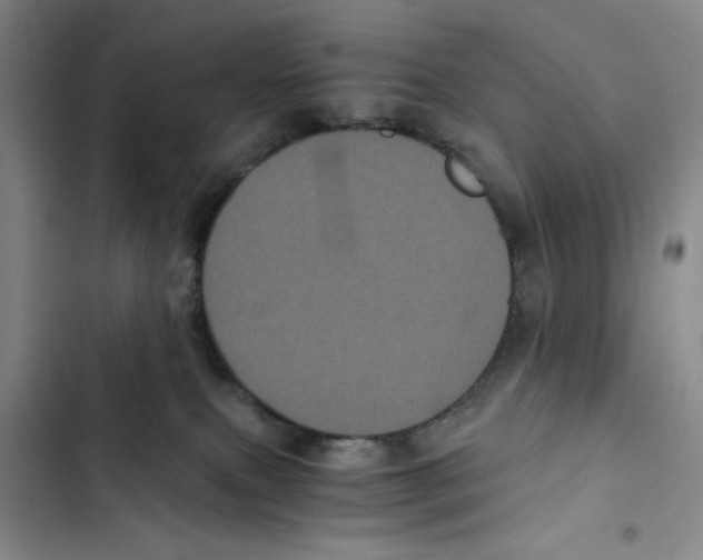 X0000102800087200809150939