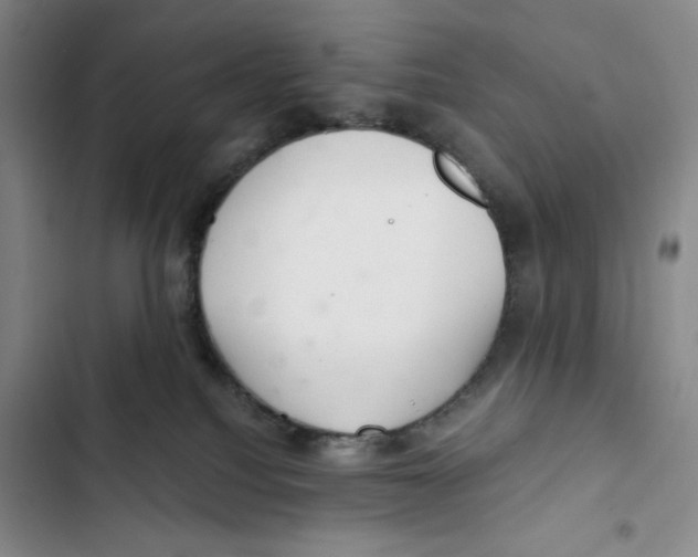 X0000102800088200809150939