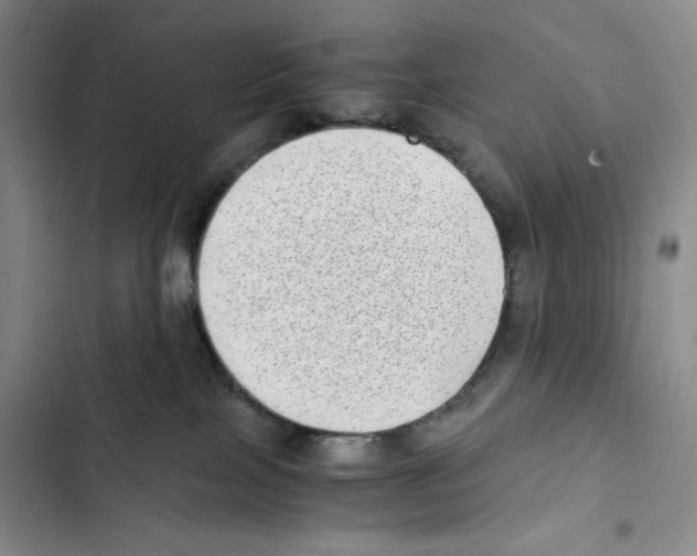 X0000102800089200809150939