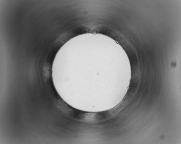 X0000102800090200809150939