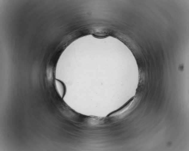 X0000102800094200809150939