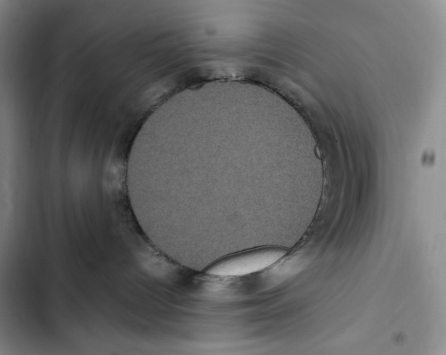 X0000102800096200809150939