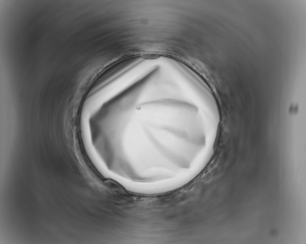 X0000102800097200809150938