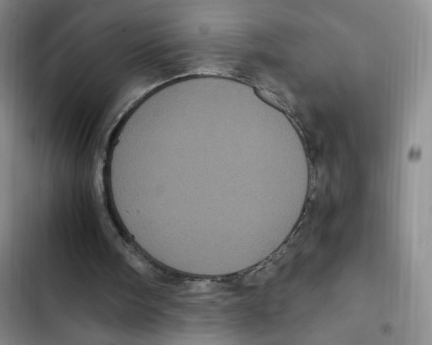 X0000102800098200809150938