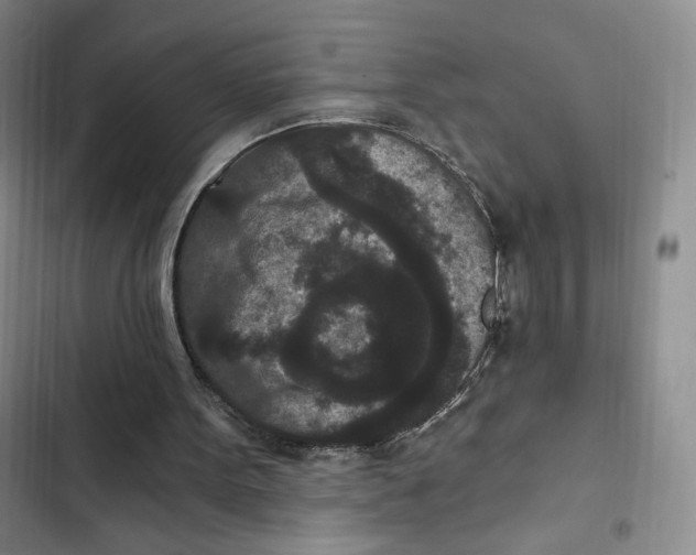 X0000102800099200809150938