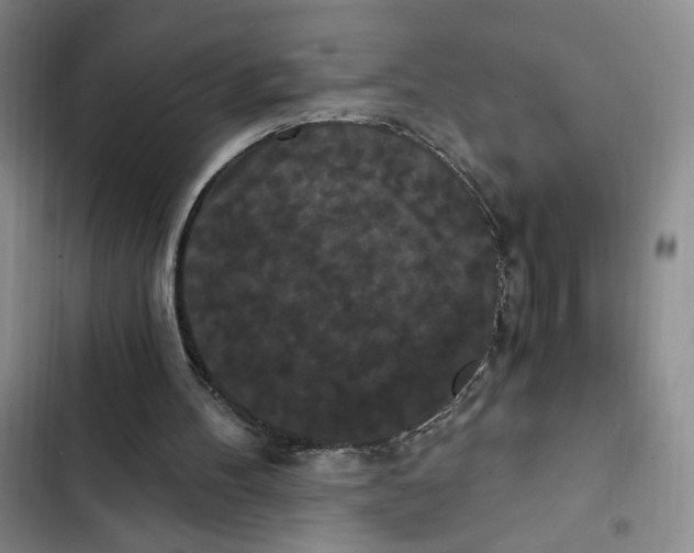 X0000102800100200809150938