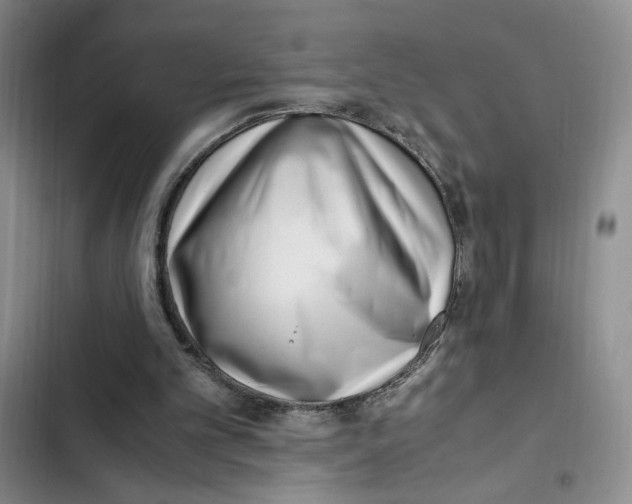 X0000102800101200809150938