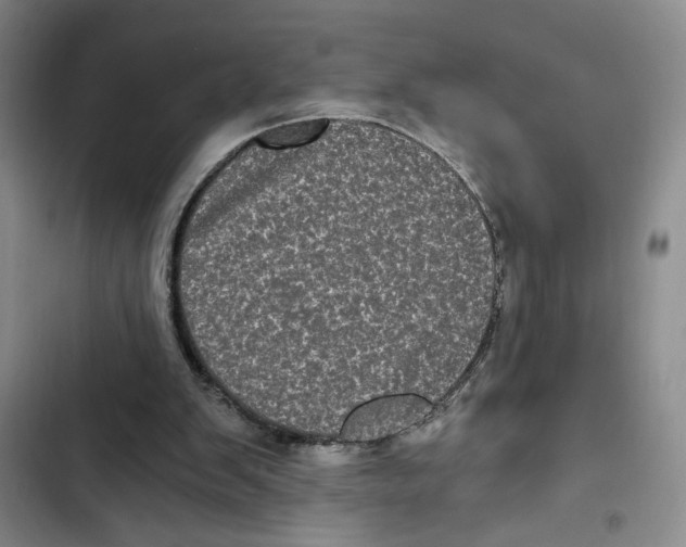 X0000102800103200809150938