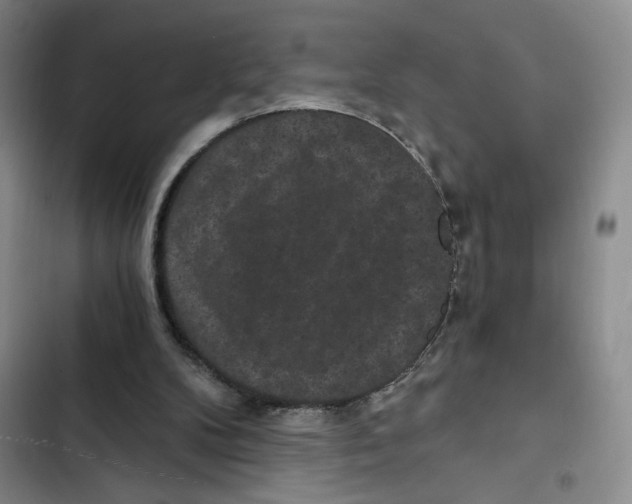 X0000102800104200809150938