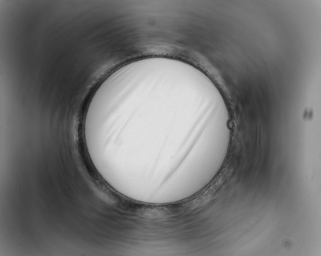 X0000102800106200809150938