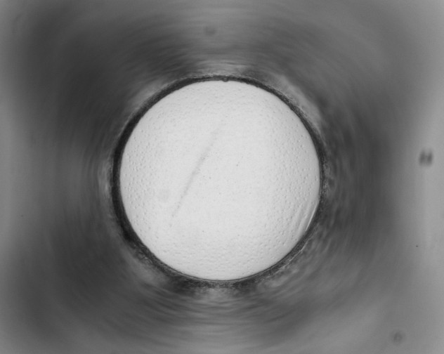 X0000102800107200809150938