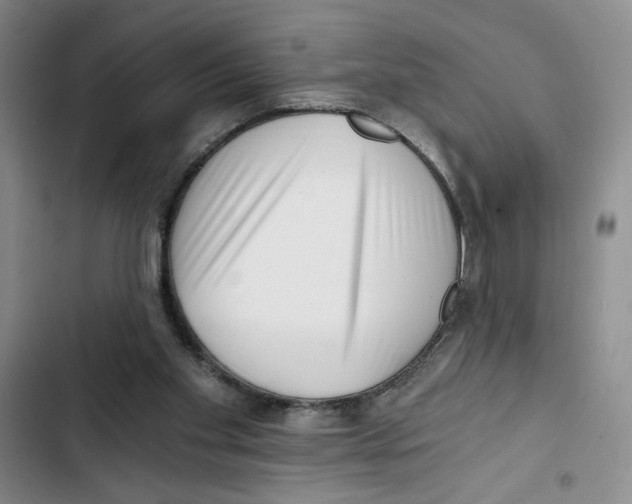 X0000102800109200809150938