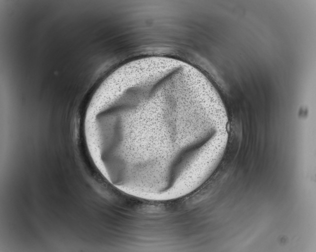 X0000102800110200809150938