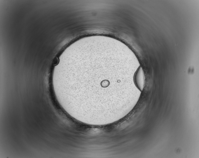 X0000102800111200809150938