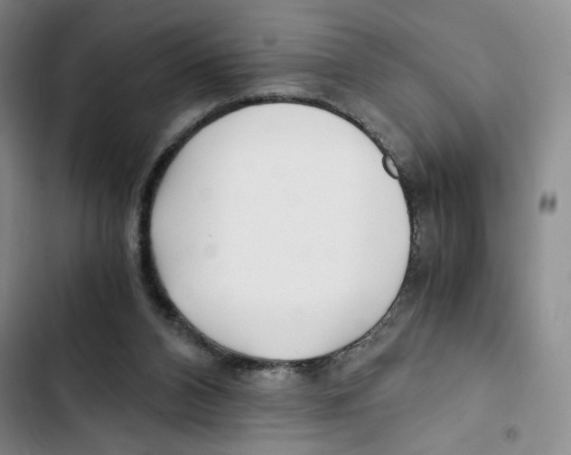 X0000102800112200809150938