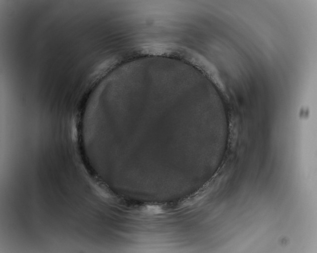 X0000102800114200809150938