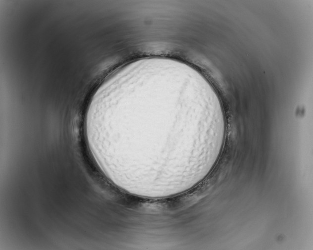 X0000102800115200809150938