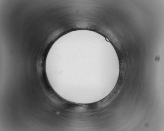 X0000102800116200809150938