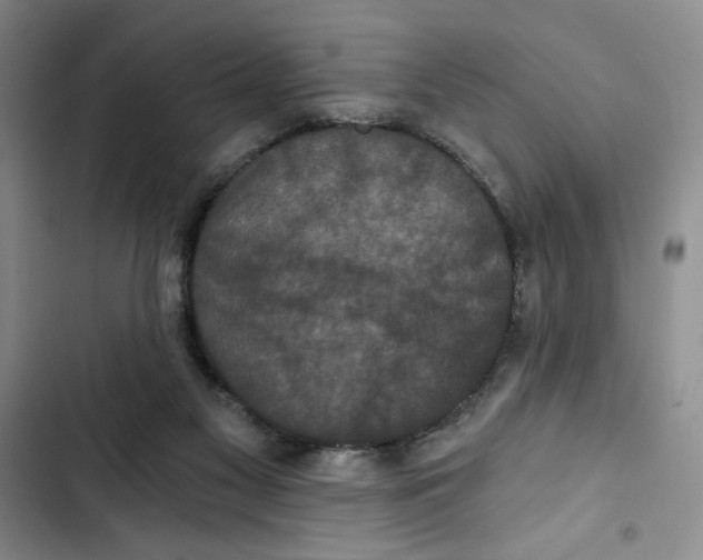 X0000102800117200809150938