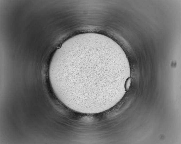 X0000102800119200809150938