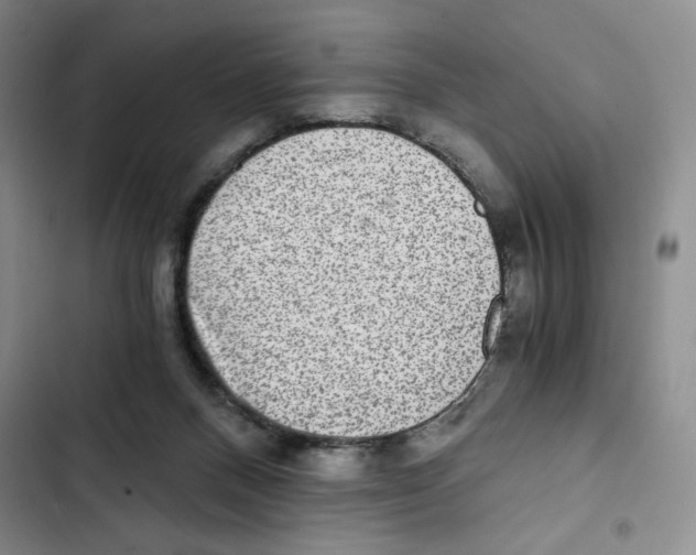 X0000102800120200809150938