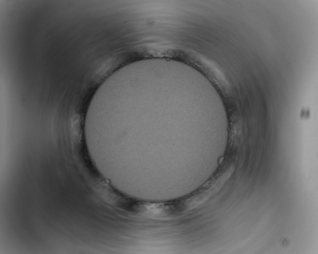 X0000102800121200809150938