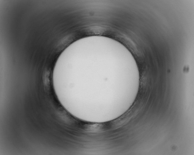 X0000102800122200809150938