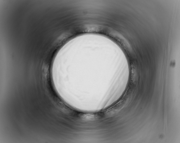 X0000102800123200809150938