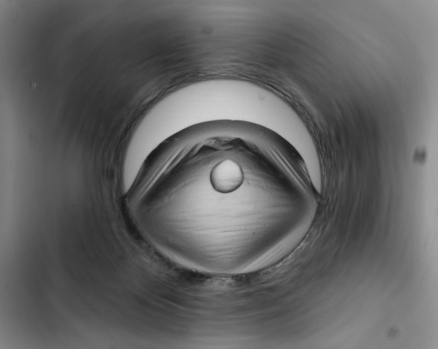 X0000102800124200809150938