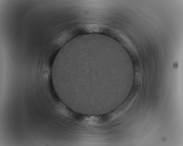 X0000102800125200809150938