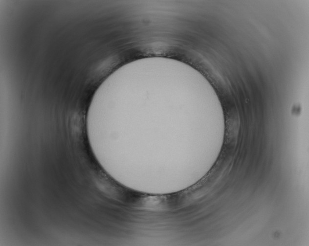 X0000102800126200809150938