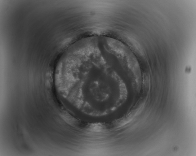 X0000102800127200809150938