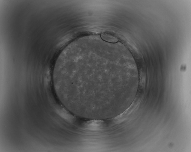 X0000102800128200809150938