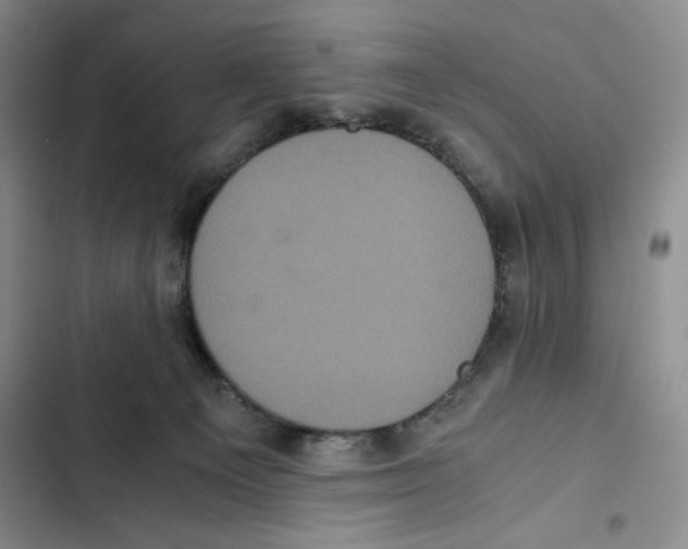 X0000102800129200809150938