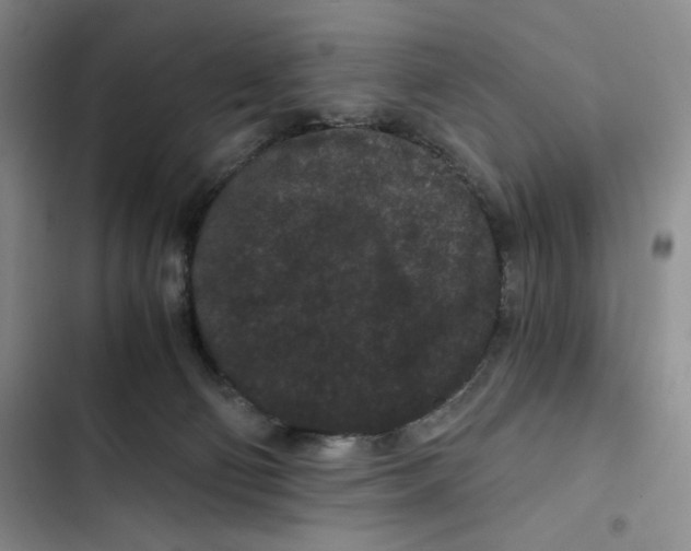 X0000102800130200809150938