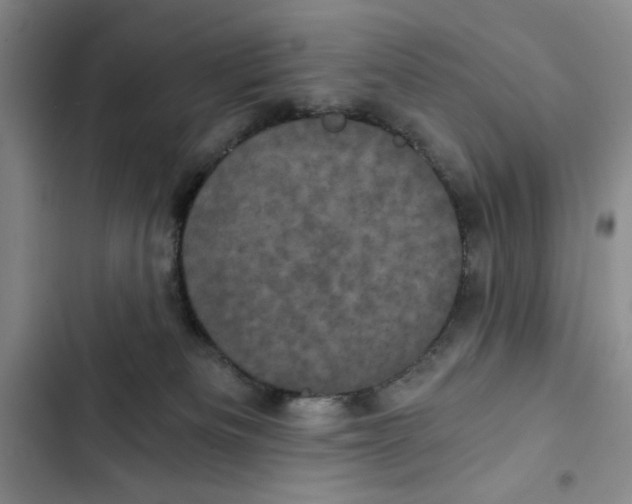 X0000102800133200809150938