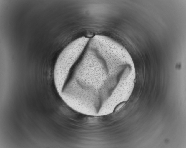 X0000102800134200809150937