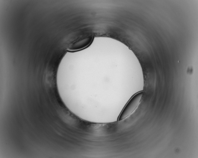 X0000102800136200809150937