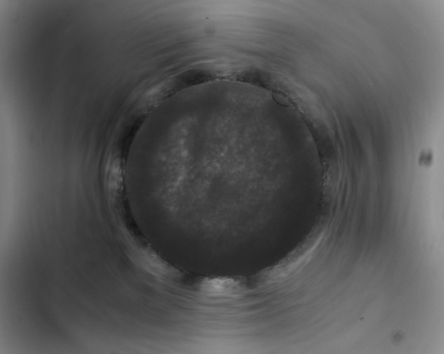 X0000102800137200809150937